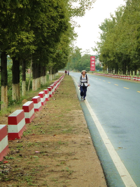 dsc06509.jpg