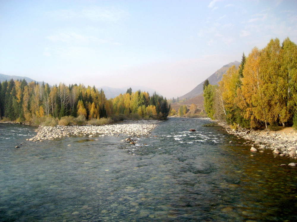 img_3303.jpg