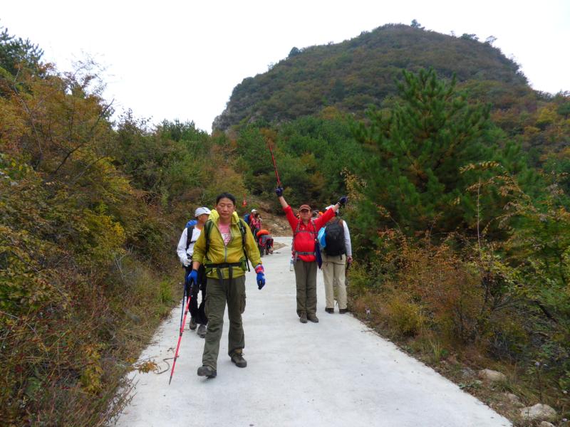 sdc10906.jpg