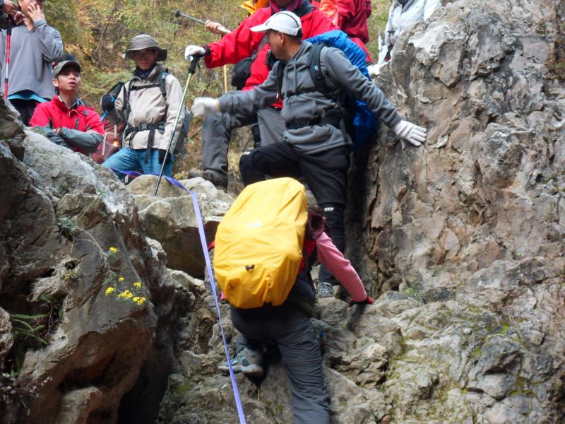 sdc10923.jpg