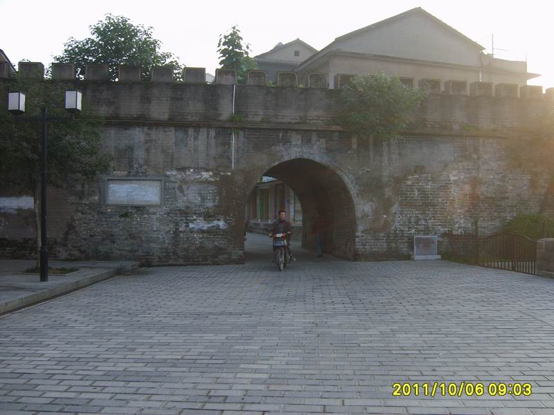 s5006397.jpg2.jpg