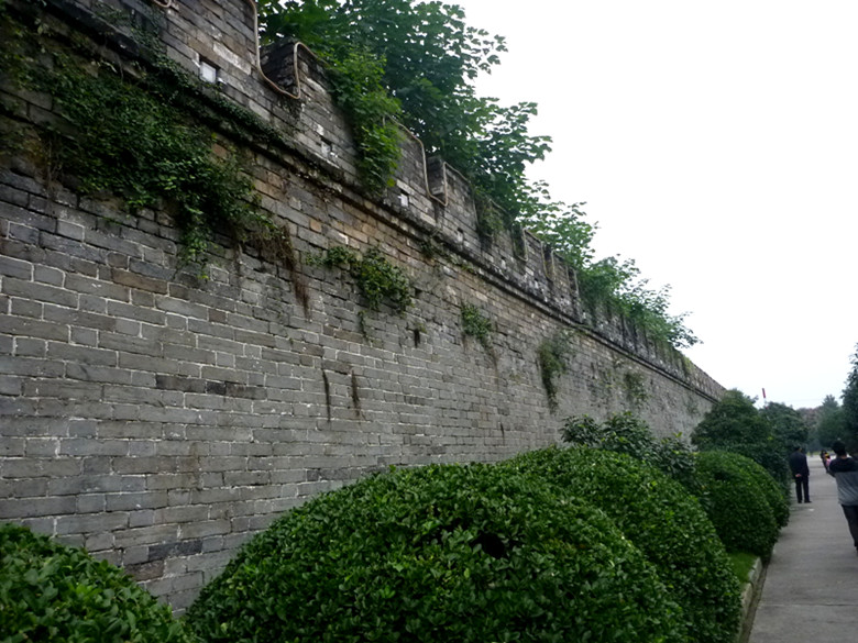 p1080366_.jpg