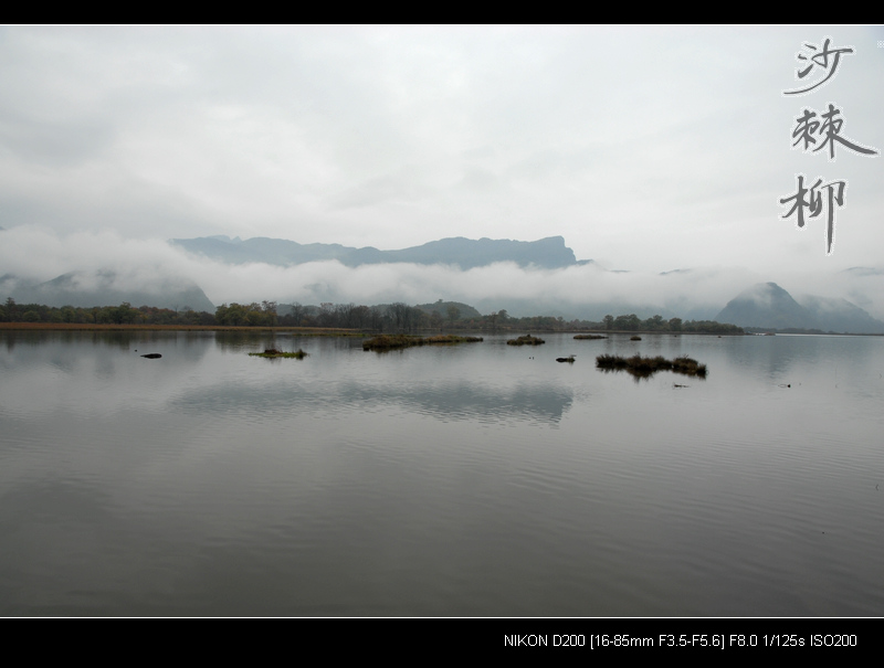 dsc_0129.jpg