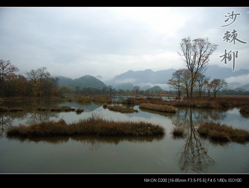 dsc_0123.jpg