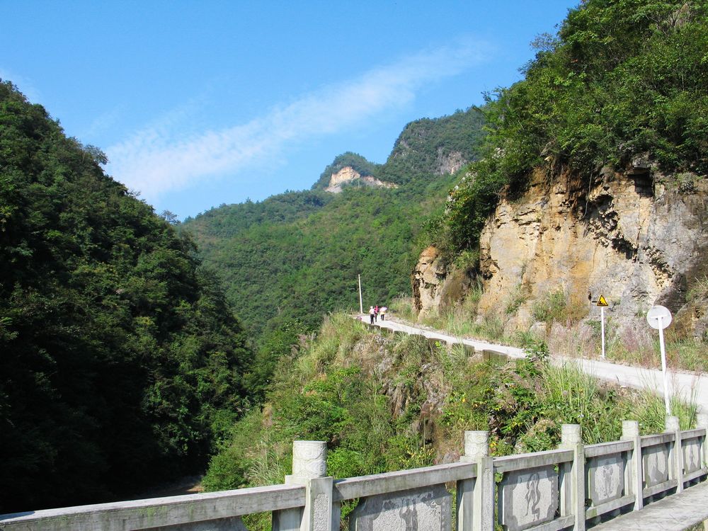 Ƭ 0791.jpg