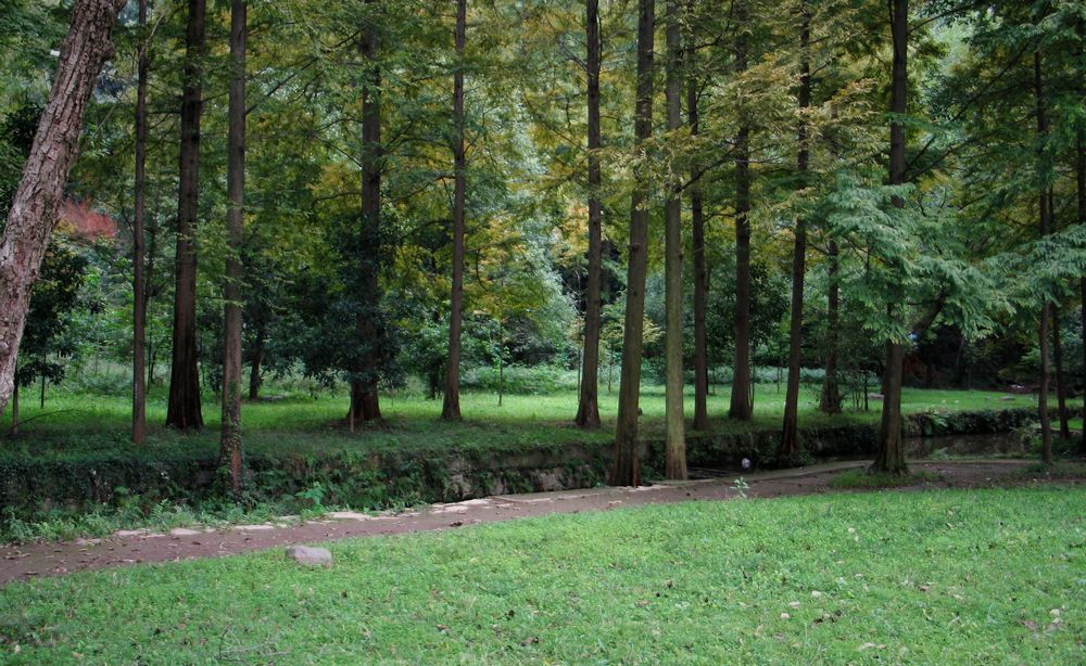 Ƭ 0491.jpg