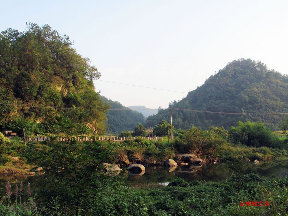 Ƭ 1761.jpg