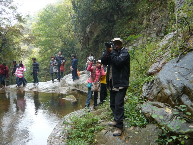 p1120262.jpg