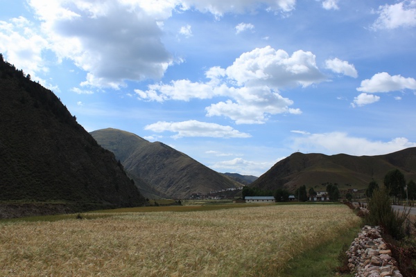 2011825916λ֮- 358.jpg