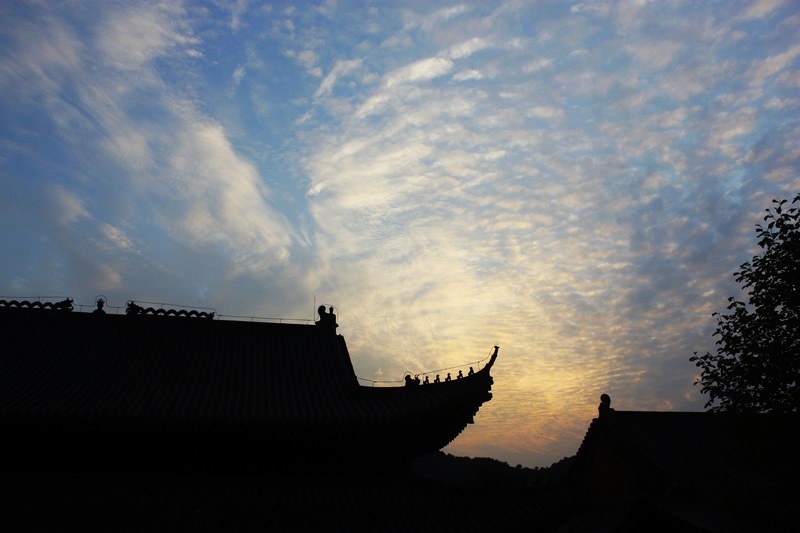 neo_img__mg_7056.jpg