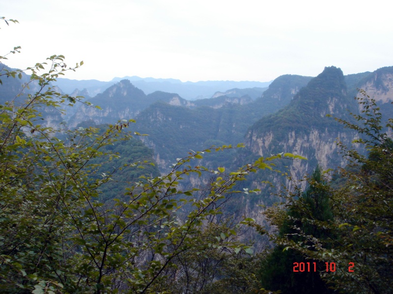 dsc05066.jpg