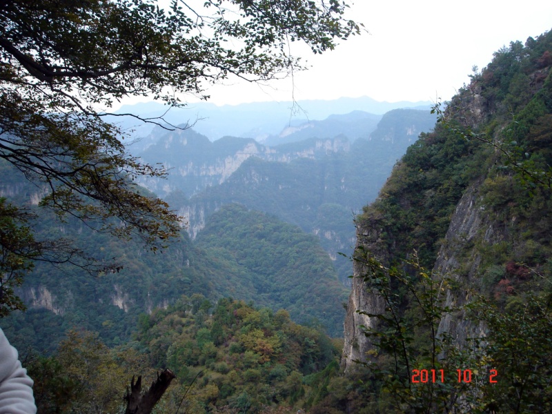 dsc05070.jpg