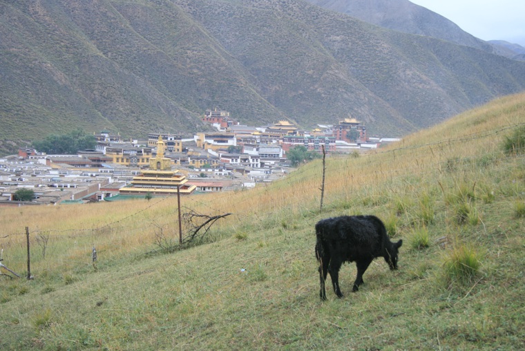 img_4186.jpg