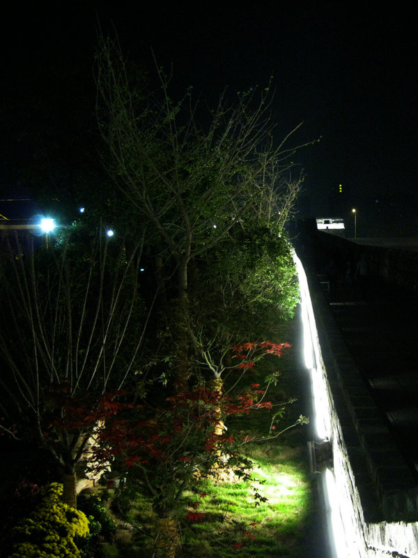 img_0291.jpg