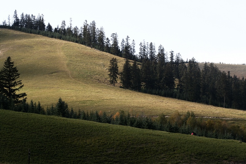  143.jpg