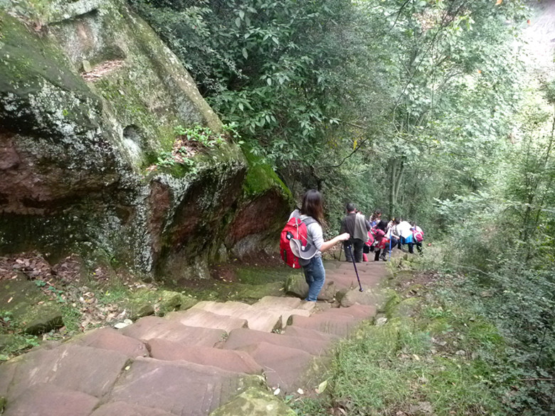 p1080467_.jpg