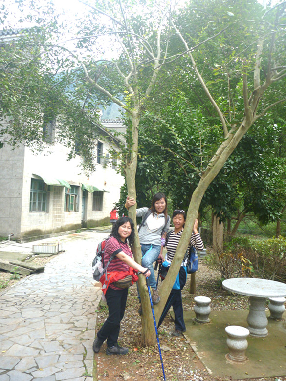 p1080474_.jpg