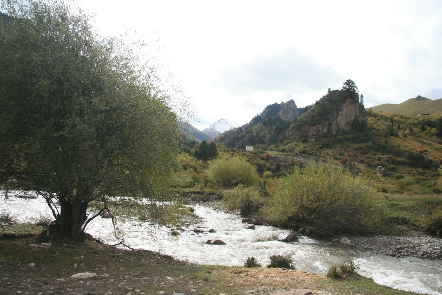 img_4323.jpg