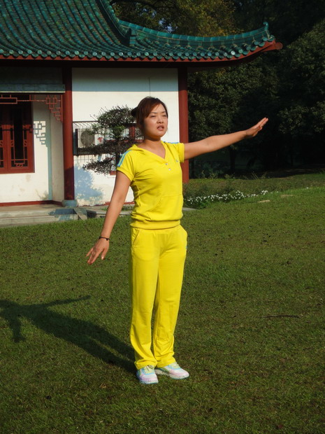 dsc06856.jpg