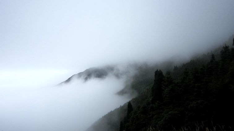 img_1917.jpg