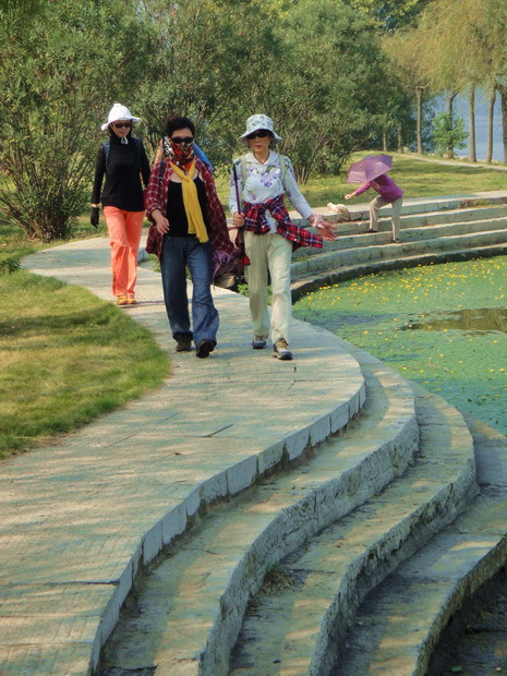 dsc06875.jpg