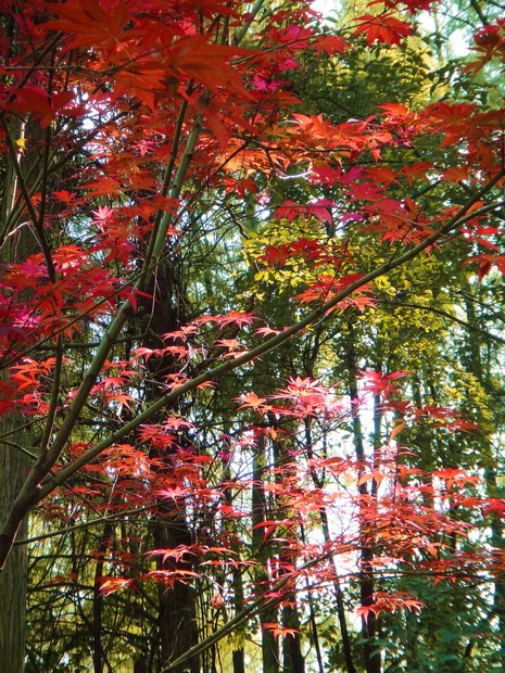 dsc06905.jpg
