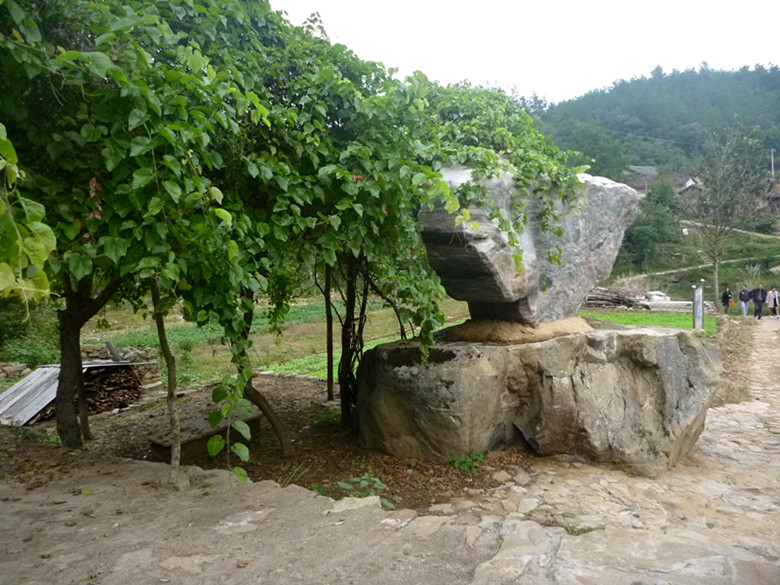 p1080483_.jpg