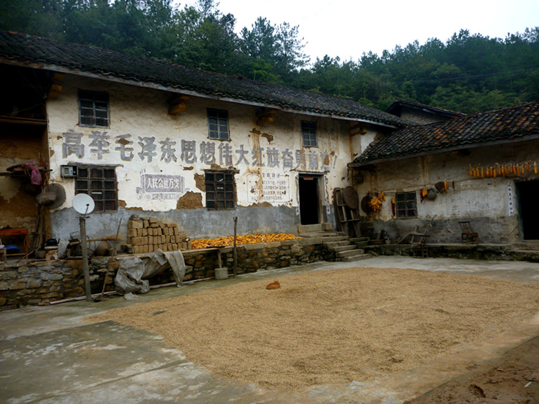 p1080492_.jpg