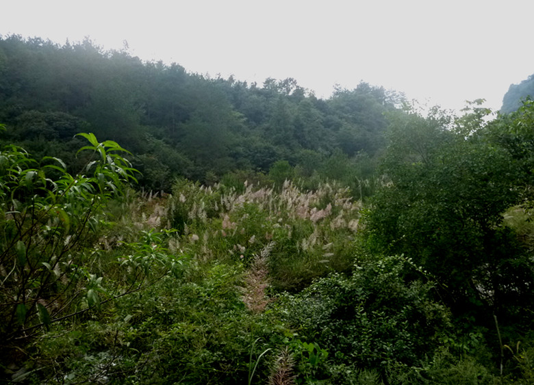 p1080495_.jpg