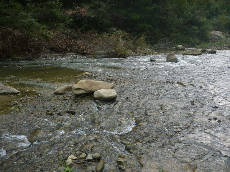 p1080498_.jpg