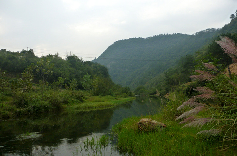 p1080499_.jpg