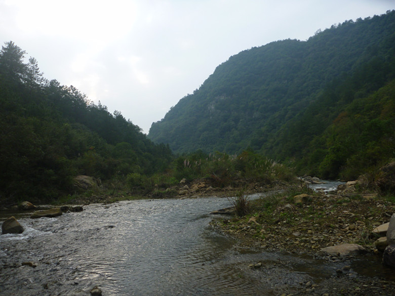 p1080497_.jpg