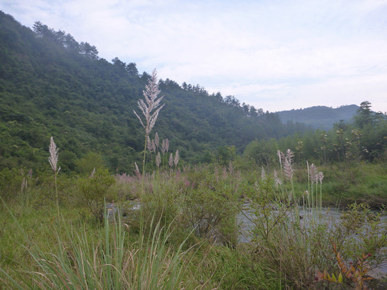 p1080500_.jpg