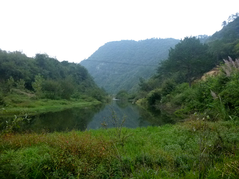p1080503_.jpg