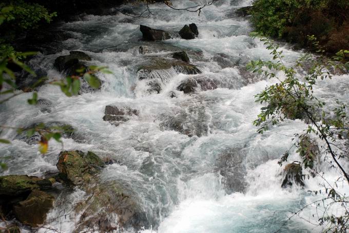 С dsc_0044.jpg