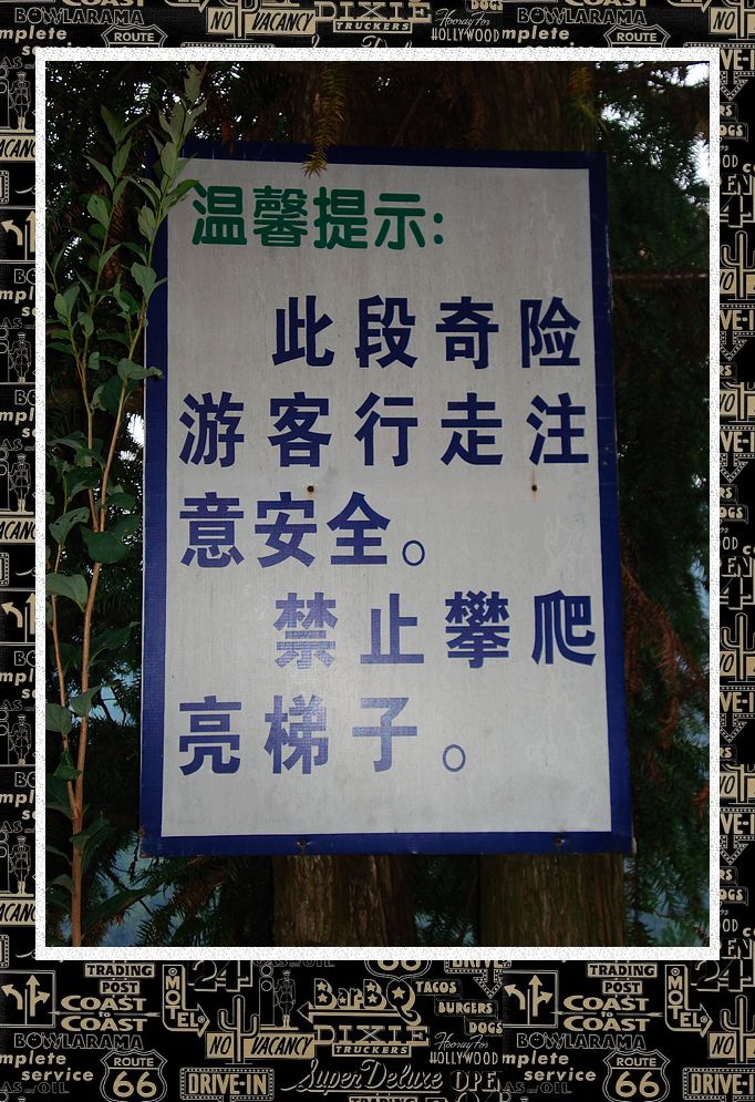 dsc00242.jpg