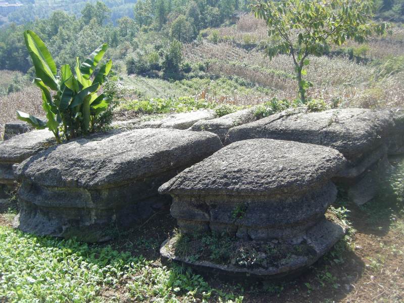 dscf1424.jpg