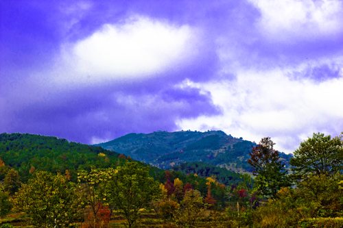 _dsc7844a.jpg
