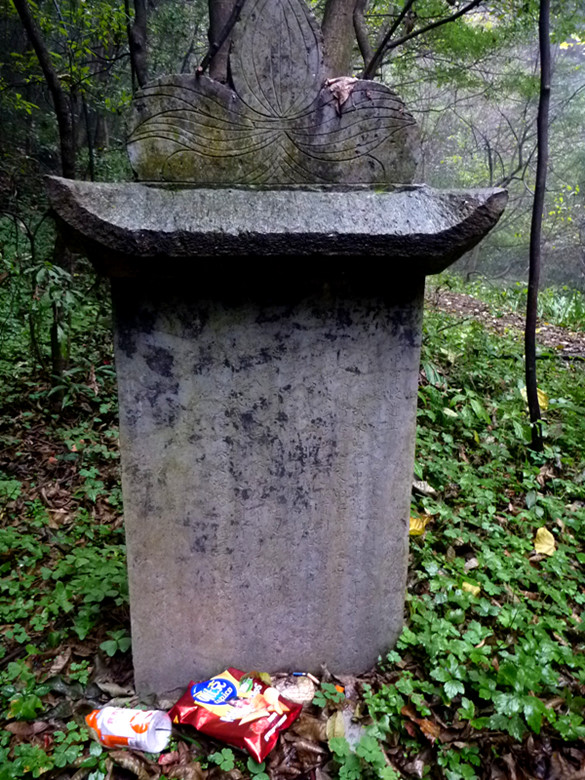 p1090170_.jpg