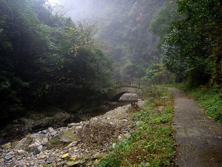 p1090185_.jpg