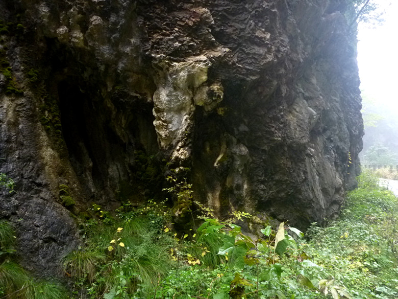 p1090187_.jpg
