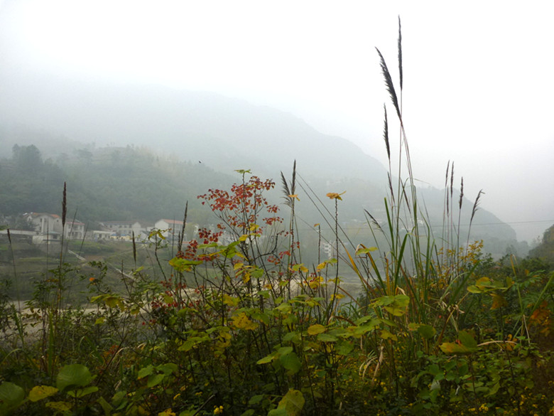 p1090211_.jpg