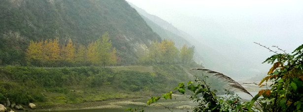 p1090220_.jpg