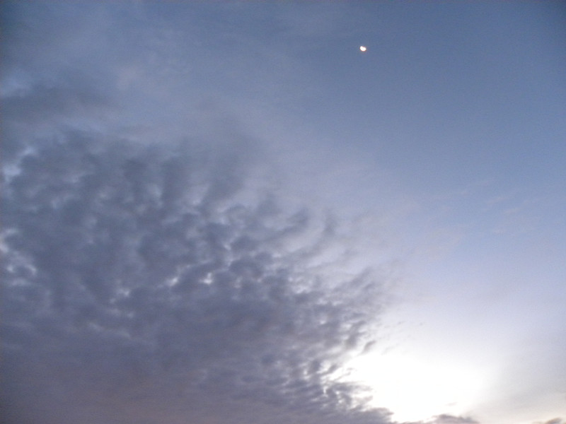 dscn5116_.jpg