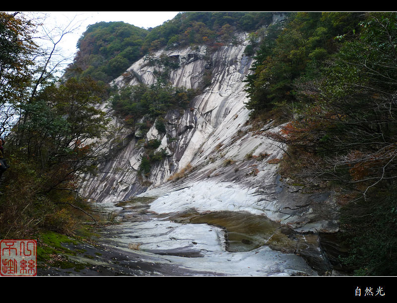 l1250350.jpg
