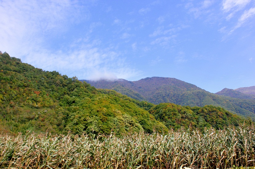 img_3287.jpg