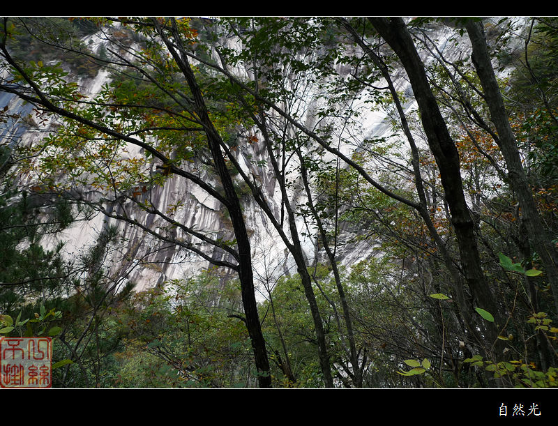 l1250294.jpg