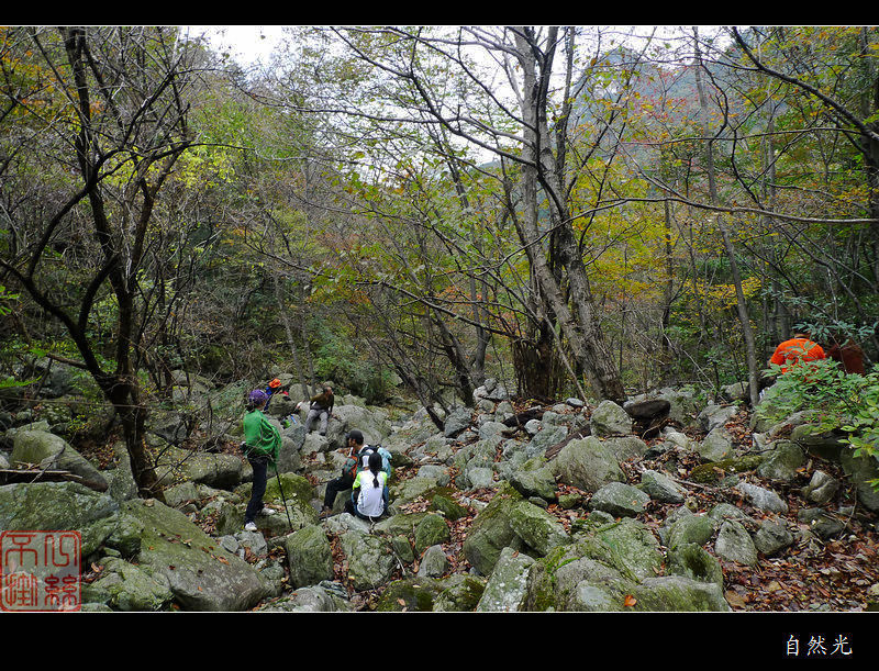 l1250325.jpg