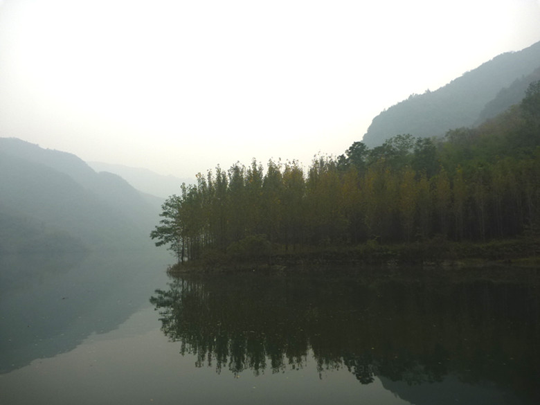 p1090289_.jpg