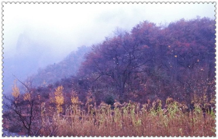 dsc08293_.jpg